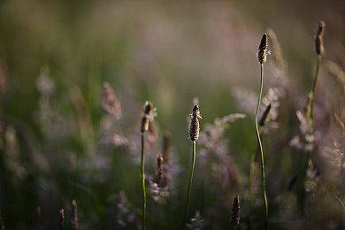 「鸟山明」同名作品改编游戏《沙漠大冒险》公布 登陆全平台